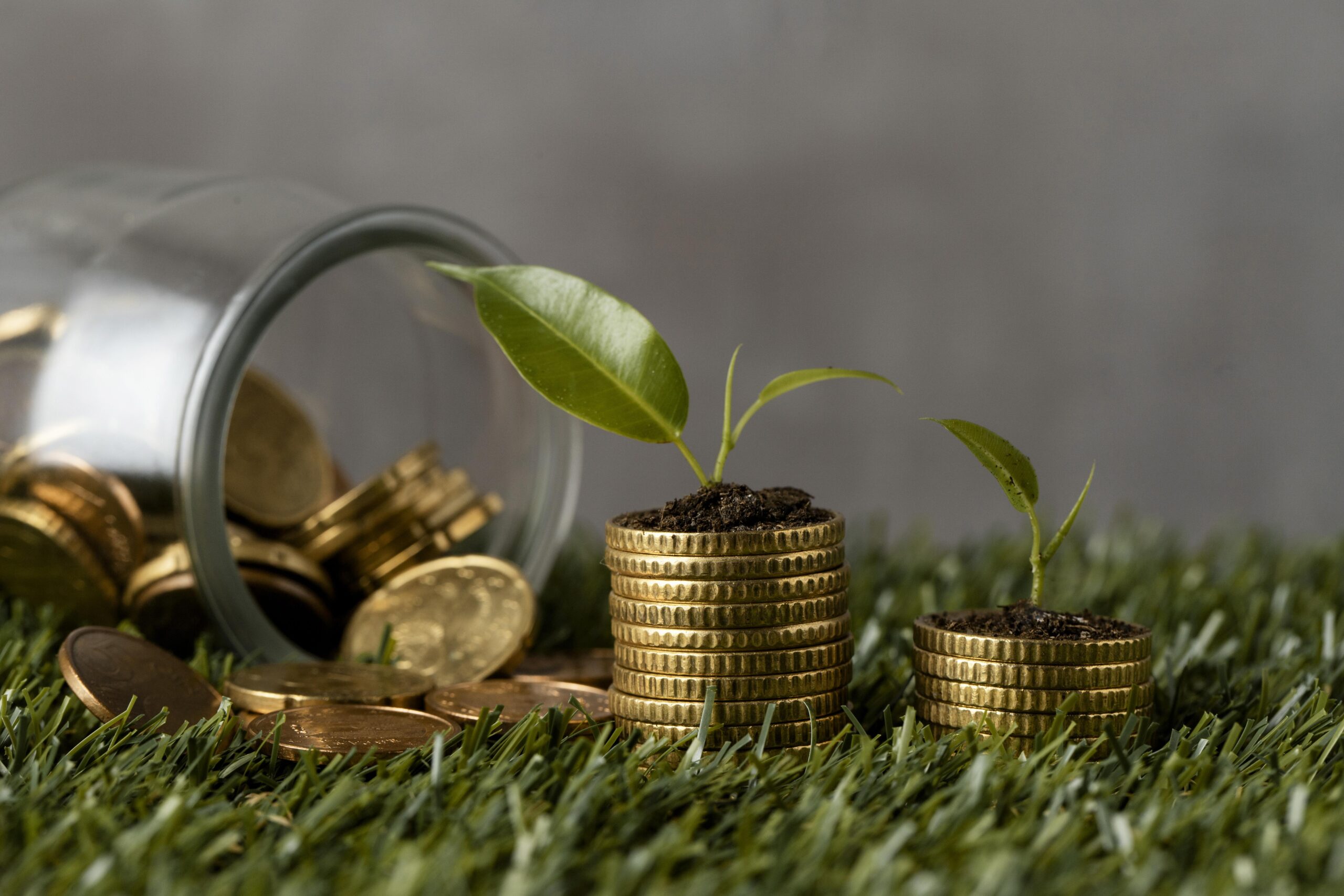 Coins and plants representing sustainable growth