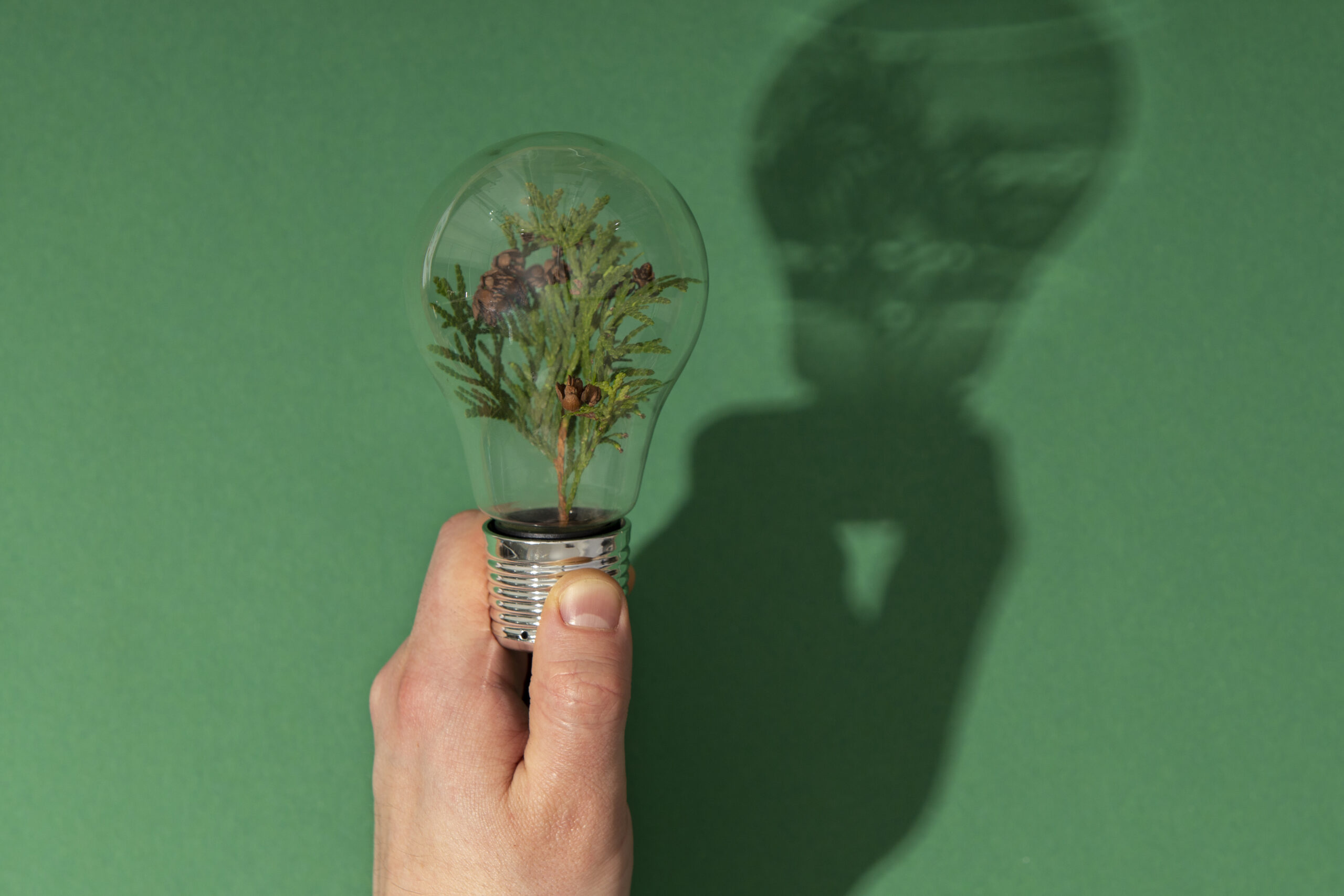 Sustainable development still life